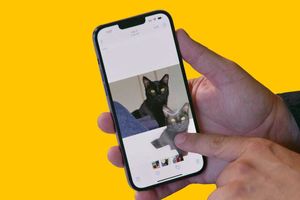 Як на iPhone відокремити об'єкт від фону на фотографії на iOS 15 або старих iPhone фото
