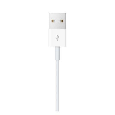 Кабель Apple Watch Magnetic Charging Cable (2 m) MJVX2 фото